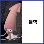 블랙